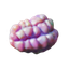 64px-jellynut-3.png