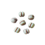 64px-jellynut-seed-1.png