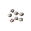 64px-jellynut-seed-2.png