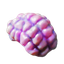 64px-jellynut.png