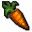 Plant Carrot