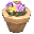 Potted Flowers.png