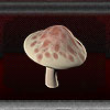 MushroomPlant1.jpg