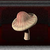 MushroomPlant2.jpg