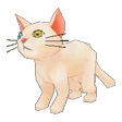 ID_Pet_Cat_02.png