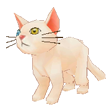 ペット ファンタジーライフ Wiki ペット ファンタジーライフ Wiki