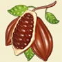 Cocoa seeds.jpg