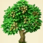 Pistachio tree.jpg