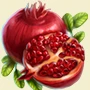 Pomegranate_0.jpg