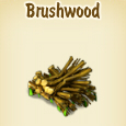 Brushwood_0.jpg