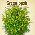 Green bush.jpg