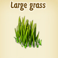 Large grass.jpg