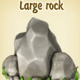 Large rock.jpg