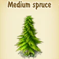 Medium spruce.jpg