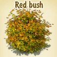 Red bush.jpg