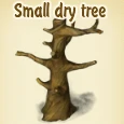 Small dry tree.jpg