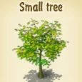 Small tree.jpg