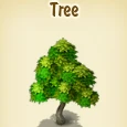 Tree5.jpg