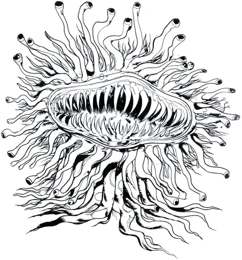 Malboro.png Malboro.png
