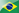 ブラジル代表メンバー