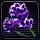 紫の菌