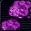 紫龍石.jpg