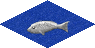 ocean_fish.png