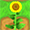 Sunflower04.png