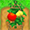 Tomato04.png