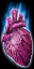 a_heart.png a_heart.png
