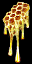 r_jelly.png r_jelly.png