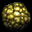 Vitriolic Gallstone Vitriolic Gallstone