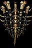 Vampiric Bonewall Vampiric Bonewall