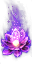 Celestial Lotus