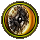 Shield Training Shield Training