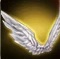 神速の白天使の翼.jpg