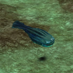 デモニックブルーフィッシュ デモニックブルーフィッシュ