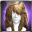 TeriosHair.jpg TeriosHair.jpg