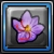 レッズロタスの花.png レッズロタスの花.png