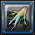 五色の芽.png 五色の芽.png