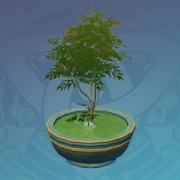 盆栽-「緑松の低木」.png