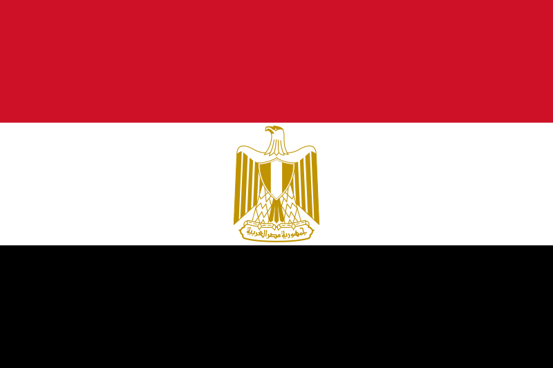 Flag_of_Egypt.svg.png