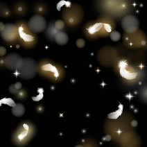 41879_l_f_sp.gif 41879_l_f_sp.gif