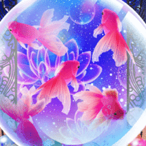 370554_l_f_sp.gif 370554_l_f_sp.gif