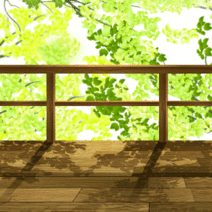 370589_l_f_sp.gif 370589_l_f_sp.gif