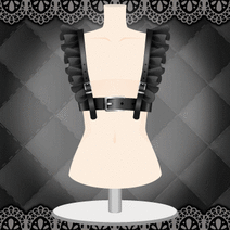 41198_l_f_sp.gif 41198_l_f_sp.gif