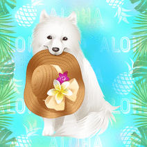 16461_l_f_sp.gif 16461_l_f_sp.gif