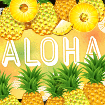 370516_l_f_sp.gif 370516_l_f_sp.gif