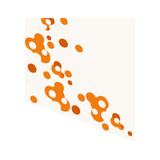 164_l_sp.gif 164_l_sp.gif