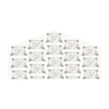 250_l_sp.gif 250_l_sp.gif